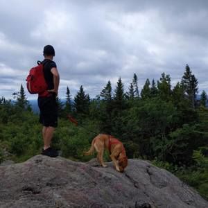 Meet your Posher, Alexandre